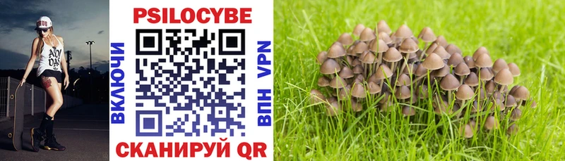 Галлюциногенные грибы мухоморы  Бор 